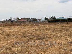 Ready to Settle Plots.^CN - thumbnail 2