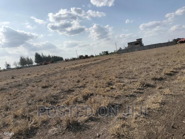 Ready to Settle Plots.^CN - thumbnail 4