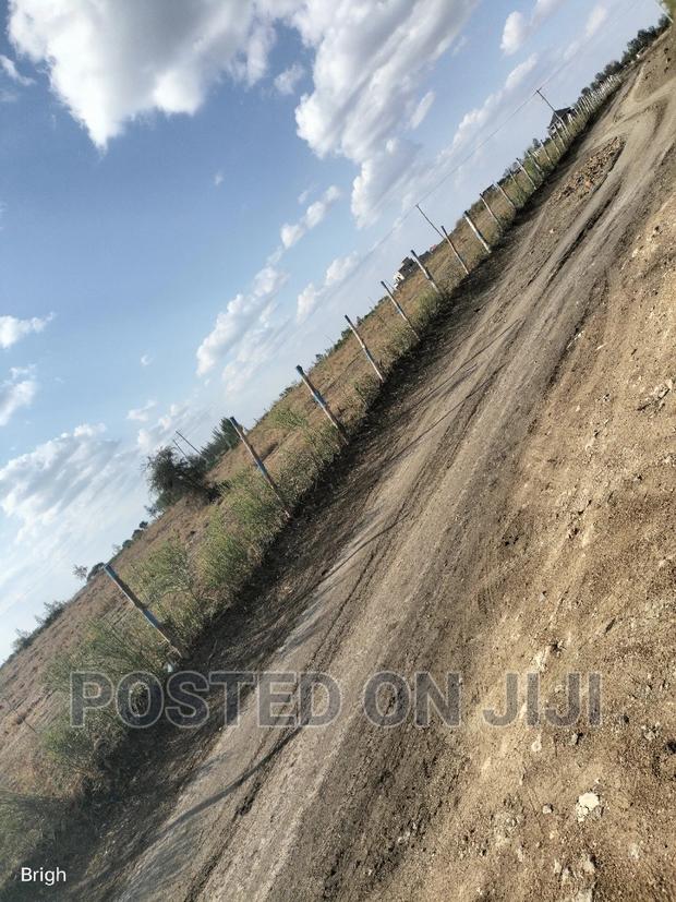 Ready to Settle Plots.^CN - thumbnail 5