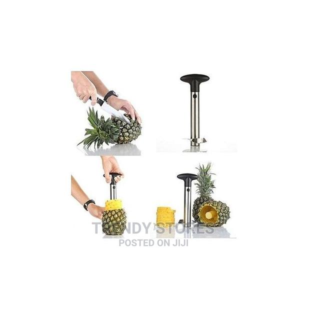 Pineapple Peeler Corer Slicer – Black Silver - main view