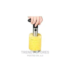 Pineapple Peeler Corer Slicer – Black Silver