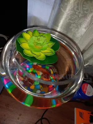Fish Bowl,Unique and Complete