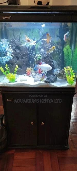 Imported Tanks , Aquarium Set Up - thumbnail 2