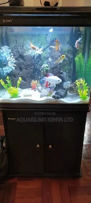 Imported Tanks , Aquarium Set Up