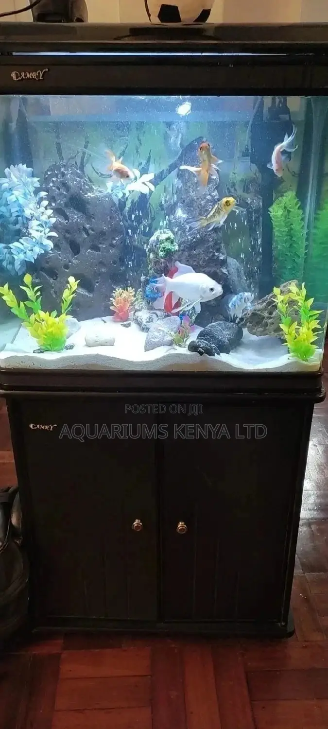 Imported Tanks , Aquarium Set Up