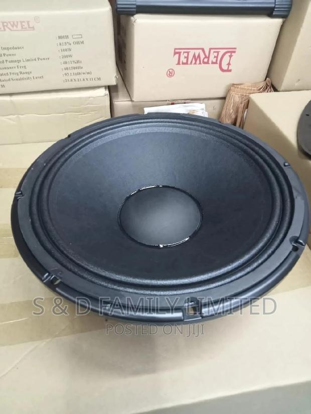 Derwel 12 Inch Speaker