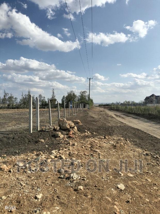 Prime Plots for Sale, Ready for Immediate Settlement - thumbnail 5