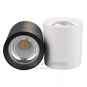 LED Surface Downlight
