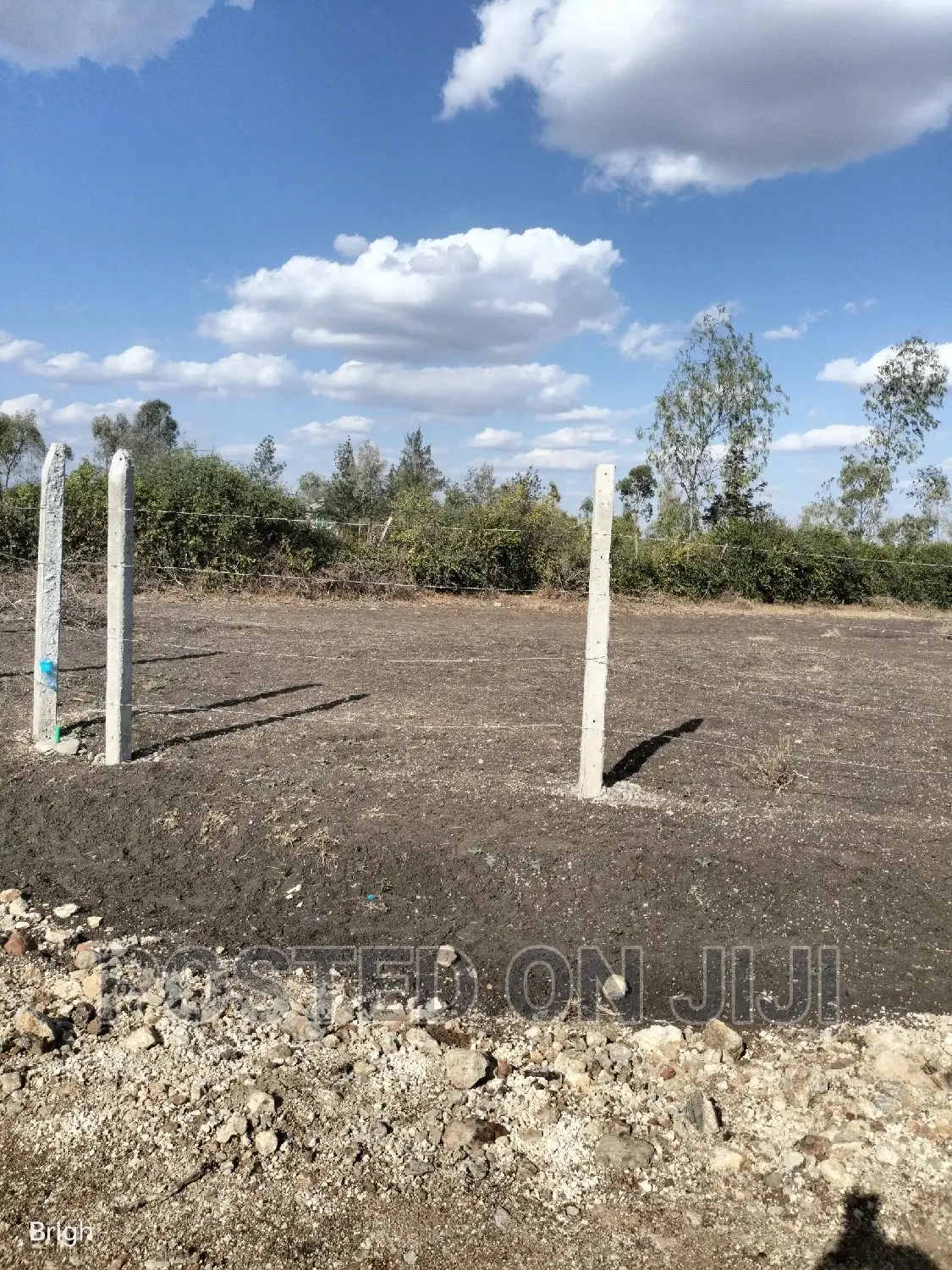 Don't Be Left Out on This Kamulu Plots.