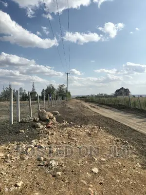 Don't Be Left Out on This Kamulu Plots.