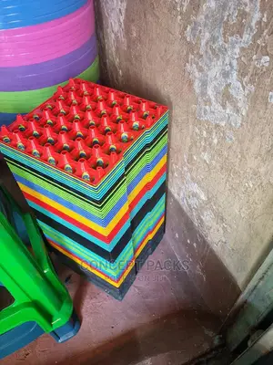 Kenpoly Plastic Egg Trays. 60pcs Packing.