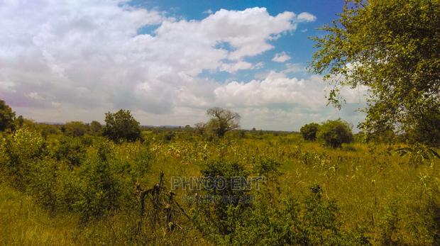 Plot for Sale Near Mandharini Villas Kilifi - thumbnail 3