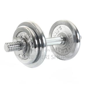Silver Dumbells - thumbnail 2