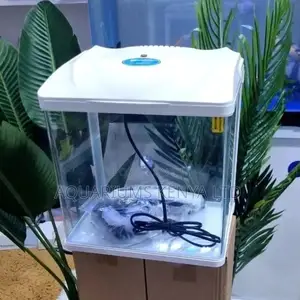 Imported Aquariums, Crystal Clear Glass