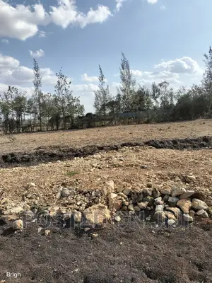1/8 Acre Serviced Plots in Kamulu.^CN