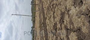 Jujaspring Gardens - thumbnail 2