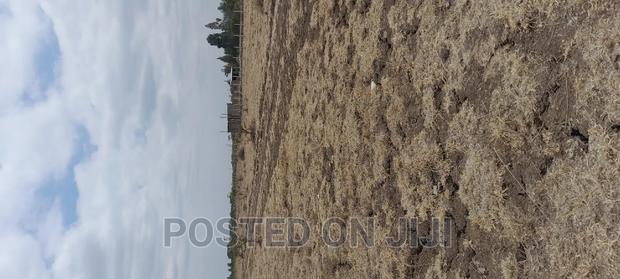 Jujaspring Gardens - thumbnail 3