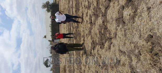 Jujaspring Gardens - thumbnail 4