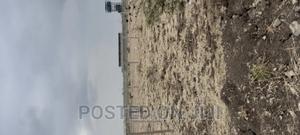 Plots in Ruiru Eastern Bypass Kamakis - thumbnail 2