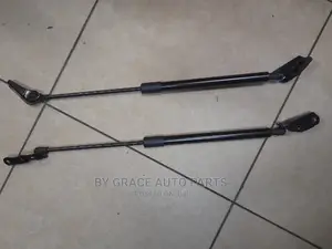 Boot Shock Wish/Toyota