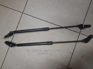 Boot Shock Wish/Toyota