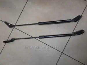 Boot Shock Wish/Toyota