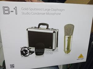 Berigher B1 Studio Condenser Microphone - main view