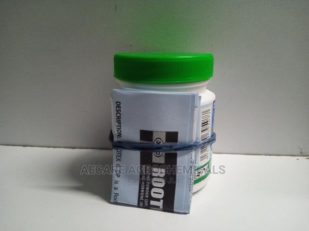 Rootex 6dp Rooting Hormone Powder 50grams - thumbnail 9