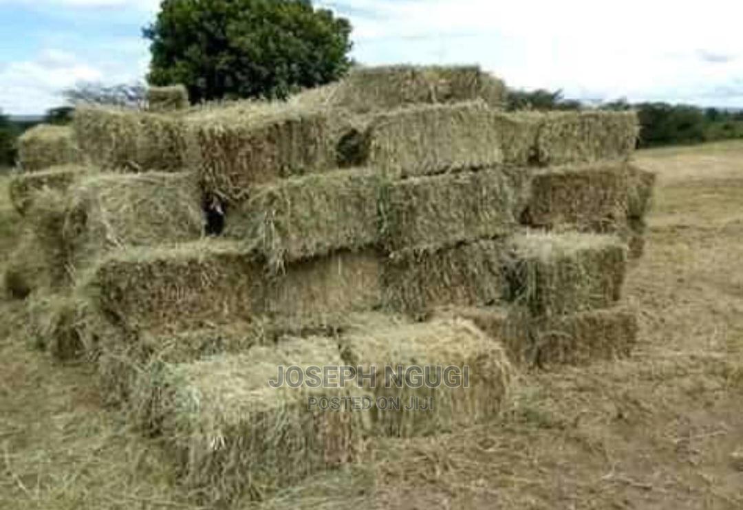 HAY. Pure Boma Rhodes, Wheat and Barley Straw. in Njoro Feeds