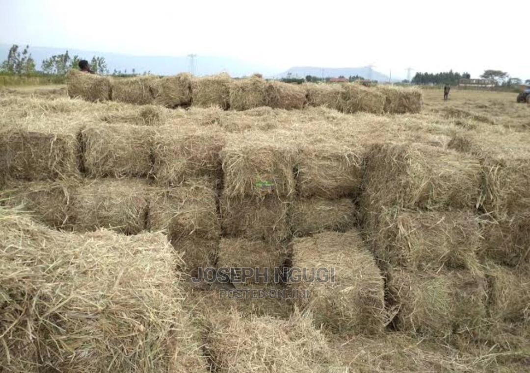 HAY. Pure Boma Rhodes, Wheat and Barley Straw. in Njoro Feeds