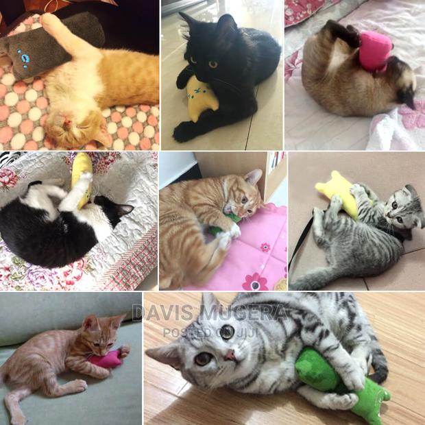 Smiley Cat Chew Toy With Catnip Inside - thumbnail 3