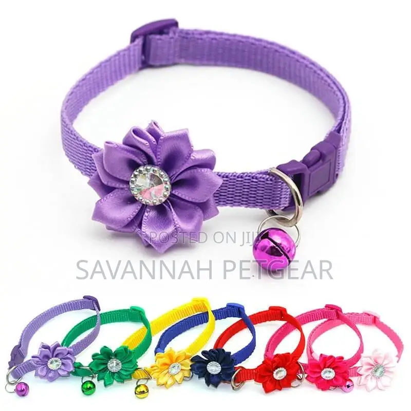 Sunrise Flower Collar for Cats, Puppies