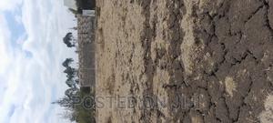 Plots in Jujafarm - thumbnail 2