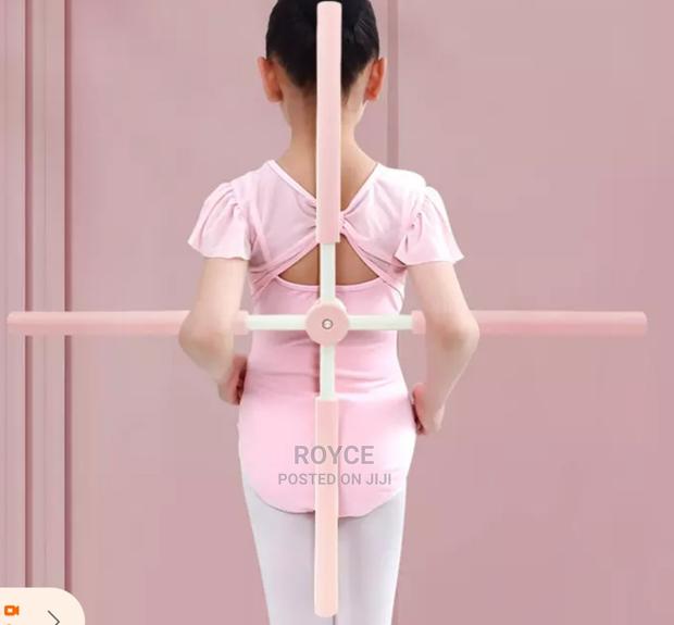 Posture Correction Stick - main view