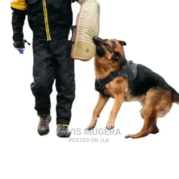 Professional Dog Training Bite Sleeve - main view