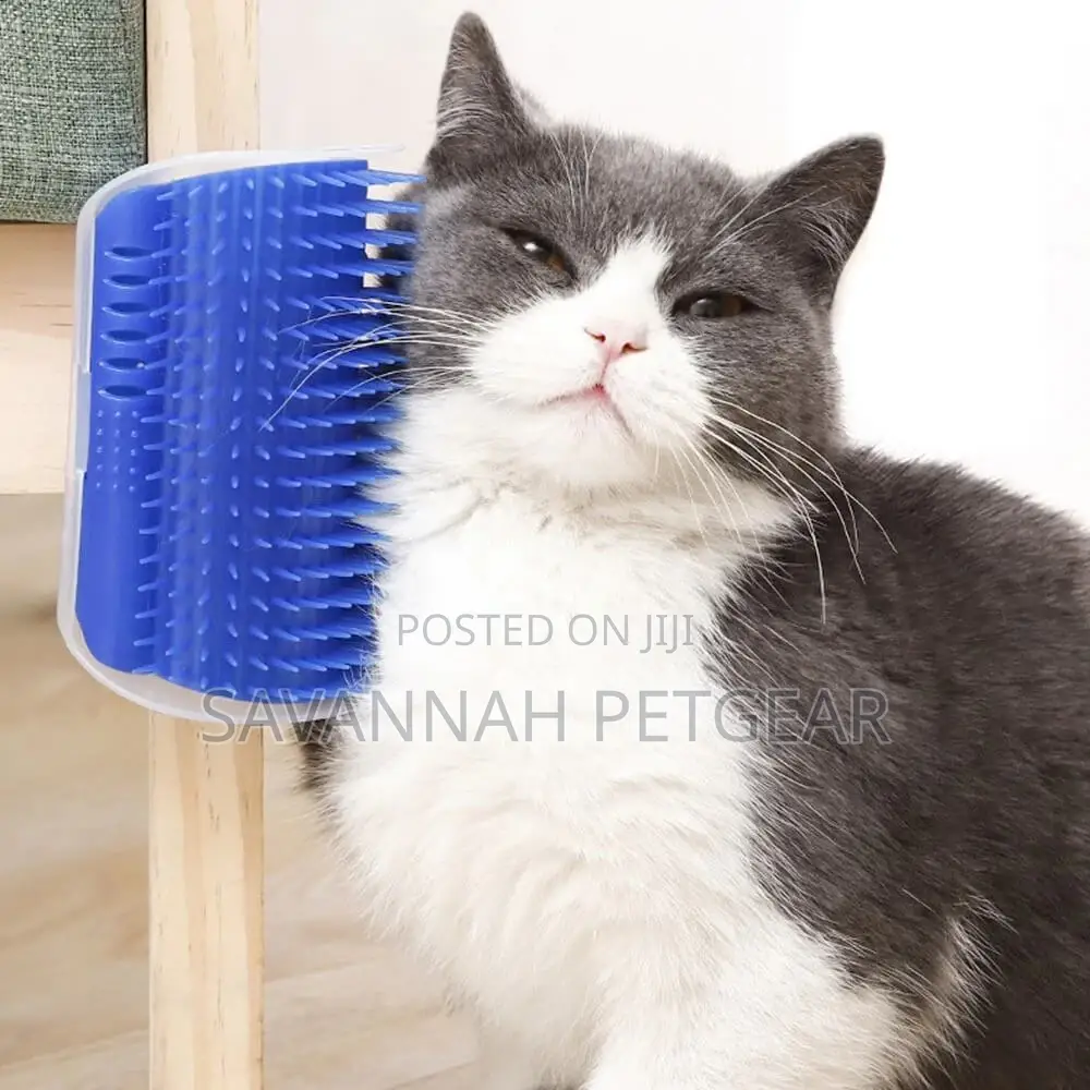 Self Groomer Cat Brush Toy With Catnip Inside