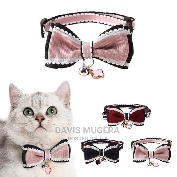 Bold London Bow Tie Cat Collar for Cats Small Dogs - main view