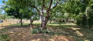 Mtwapa Posta Quarter Plot on Sale Wall Fanced