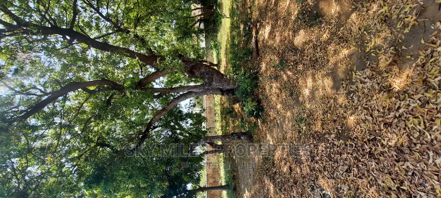 Mtwapa Posta Quarter Plot on Sale Wall Fanced
