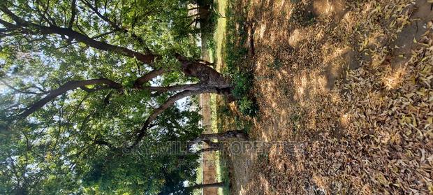 Mtwapa Posta Quarter Plot on Sale Wall Fanced - thumbnail 10