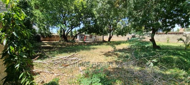 Mtwapa Posta Quarter Plot on Sale Wall Fanced - thumbnail 15