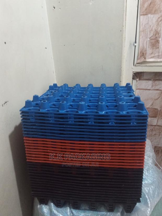 Plastic Perforated Trays - main view