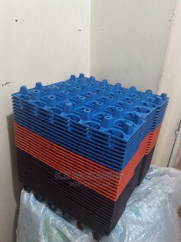 Plastic Perforated Trays - thumbnail 4