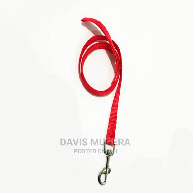 Light Nylon Dog Leash - thumbnail 3