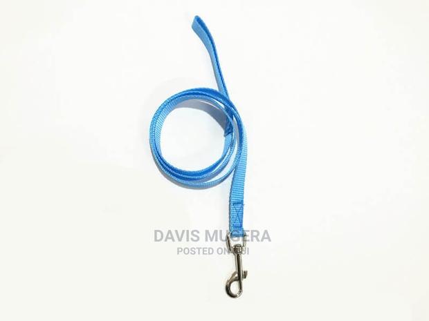 Light Nylon Dog Leash - thumbnail 4