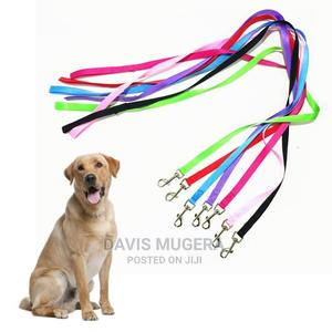 Light Nylon Dog Leash - thumbnail 2