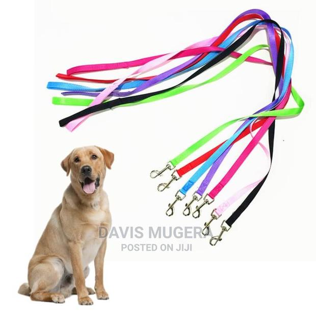 Light Nylon Dog Leash - main view