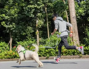 Hands-Free Running Dog Leash, Elastic, Reflective + Pouch +