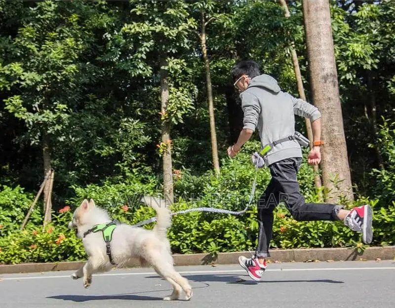 Hands-Free Running Dog Leash, Elastic, Reflective + Pouch +