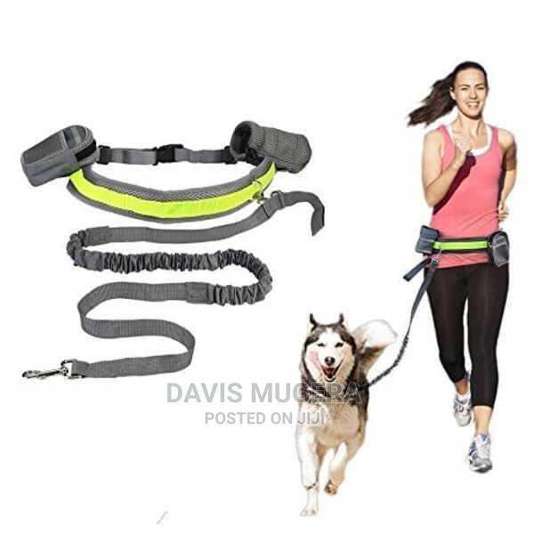 Hands-Free Running Dog Leash, Elastic, Reflective + Pouch + - main view